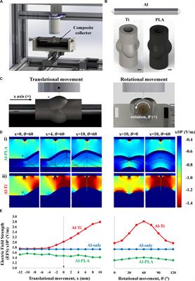 Melt Electrowriting of Complex 3D Anatomically Relevant Scaffolds